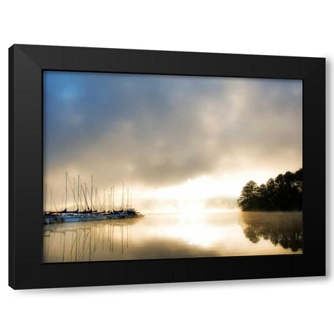 Breaking Through I Black Modern Wood Framed Art Print by Head, Danny