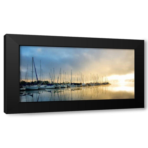 Breaking Through II Black Modern Wood Framed Art Print with Double Matting by Head, Danny