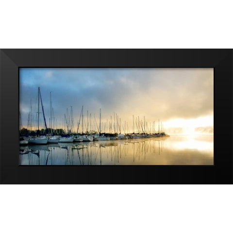 Breaking Through II Black Modern Wood Framed Art Print by Head, Danny