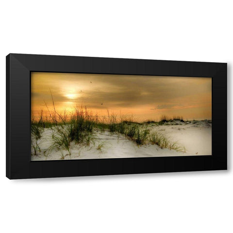 Seagulls at Sunrise Black Modern Wood Framed Art Print with Double Matting by Head, Danny