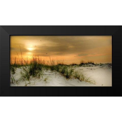 Seagulls at Sunrise Black Modern Wood Framed Art Print by Head, Danny