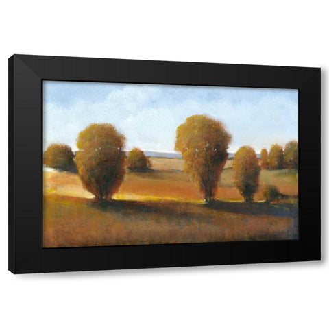 Afternoon Light II Black Modern Wood Framed Art Print with Double Matting by OToole, Tim