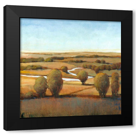 Afternoon Light III Black Modern Wood Framed Art Print with Double Matting by OToole, Tim