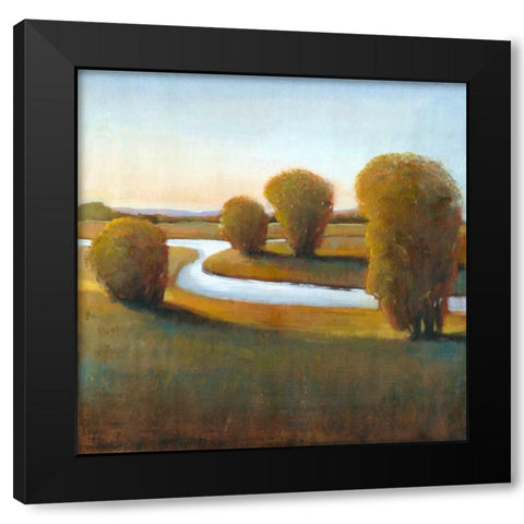 Afternoon Light V Black Modern Wood Framed Art Print by OToole, Tim