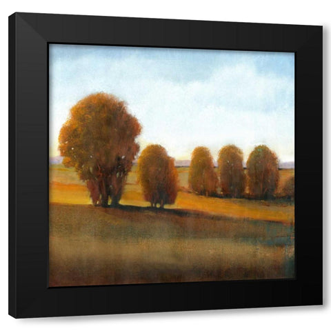 Afternoon Light VI Black Modern Wood Framed Art Print by OToole, Tim