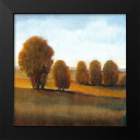 Afternoon Light VI Black Modern Wood Framed Art Print by OToole, Tim