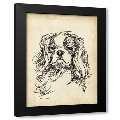 Breed Studies II Black Modern Wood Framed Art Print by Harper, Ethan