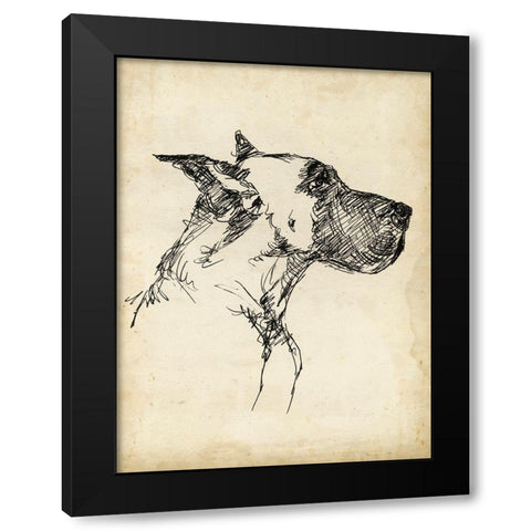 Breed Studies IV Black Modern Wood Framed Art Print with Double Matting by Harper, Ethan