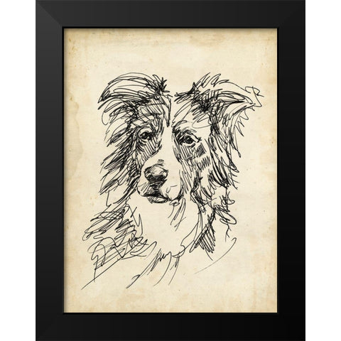 Breed Studies V Black Modern Wood Framed Art Print by Harper, Ethan