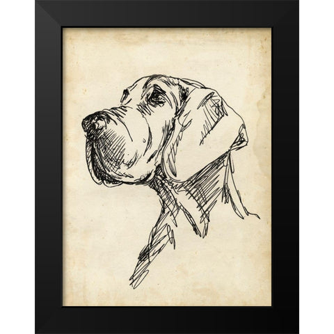 Breed Studies VI Black Modern Wood Framed Art Print by Harper, Ethan