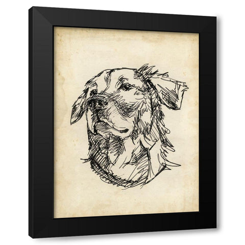 Breed Studies VIII Black Modern Wood Framed Art Print with Double Matting by Harper, Ethan