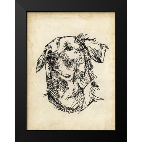 Breed Studies VIII Black Modern Wood Framed Art Print by Harper, Ethan