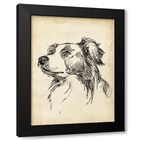 Breed Studies IX Black Modern Wood Framed Art Print by Harper, Ethan