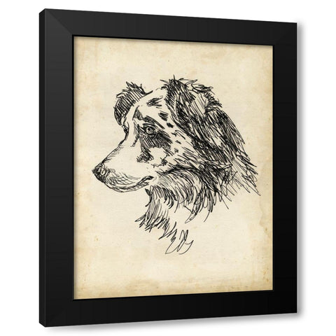 Breed Studies XI Black Modern Wood Framed Art Print with Double Matting by Harper, Ethan