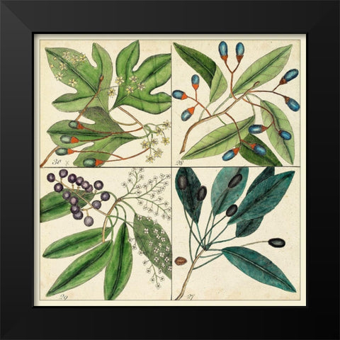 Catesby Leaf Quadrant I Black Modern Wood Framed Art Print by Catesby, Mark