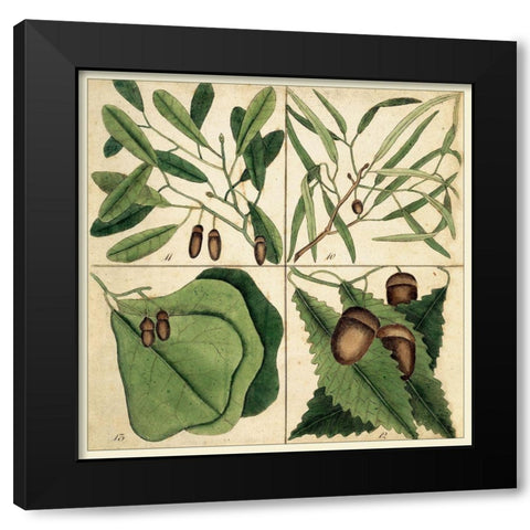 Catesby Leaf Quadrant II Black Modern Wood Framed Art Print with Double Matting by Catesby, Mark