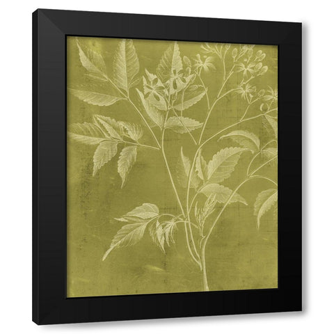 Modern Botany V Black Modern Wood Framed Art Print with Double Matting by Vision Studio