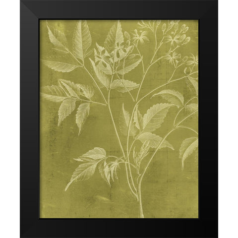Modern Botany V Black Modern Wood Framed Art Print by Vision Studio
