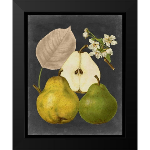 Midnight Harvest III Black Modern Wood Framed Art Print by Vision Studio