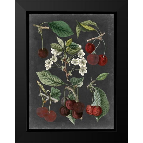 Orchard Varieties I Black Modern Wood Framed Art Print by Vision Studio