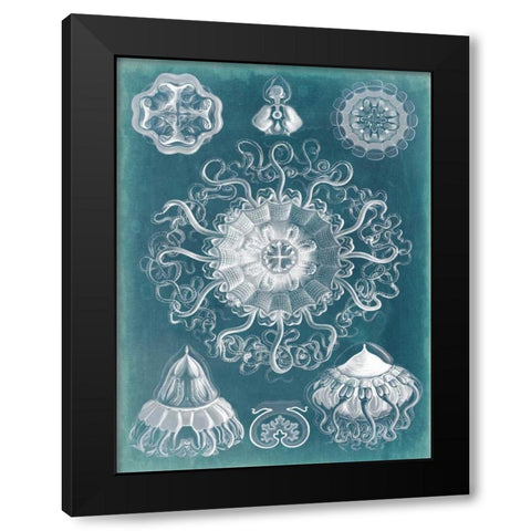 Sealife Blueprint II Black Modern Wood Framed Art Print with Double Matting by Vision Studio