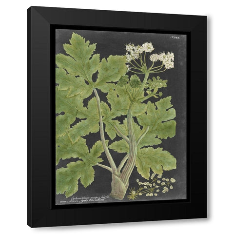 Dramatic Weinmann Greenery I Black Modern Wood Framed Art Print with Double Matting by Vision Studio