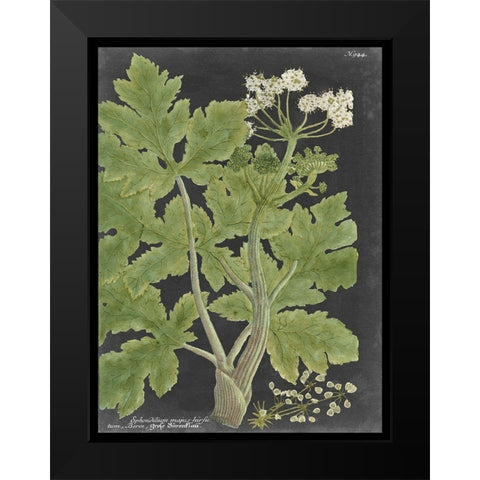 Dramatic Weinmann Greenery I Black Modern Wood Framed Art Print by Vision Studio