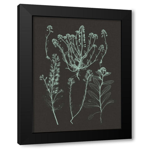 Mint and Charcoal Nature Study III Black Modern Wood Framed Art Print with Double Matting by Vision Studio