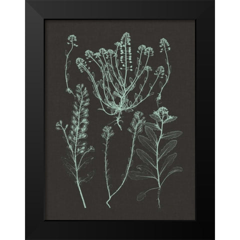 Mint and Charcoal Nature Study III Black Modern Wood Framed Art Print by Vision Studio