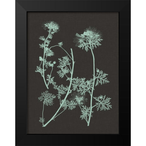 Mint and Charcoal Nature Study IV Black Modern Wood Framed Art Print by Vision Studio