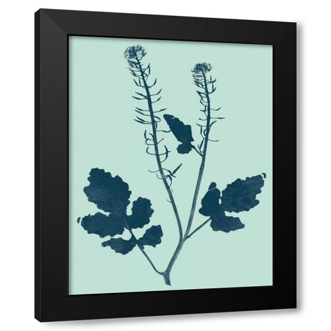 Indigo and Mint Botanical Study I Black Modern Wood Framed Art Print by Vision Studio