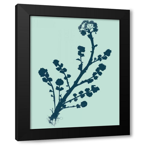 Indigo and Mint Botanical Study II Black Modern Wood Framed Art Print by Vision Studio