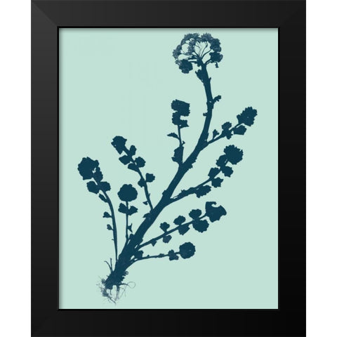 Indigo and Mint Botanical Study II Black Modern Wood Framed Art Print by Vision Studio