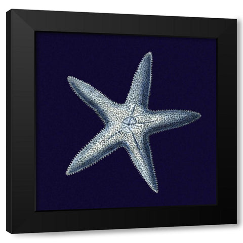 Indigo Shells IV Black Modern Wood Framed Art Print with Double Matting by Vision Studio