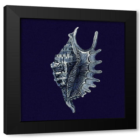 Indigo Shells VI Black Modern Wood Framed Art Print with Double Matting by Vision Studio