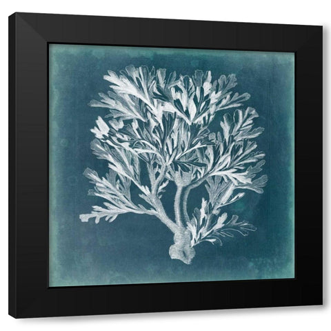 Azure Coral IV Black Modern Wood Framed Art Print with Double Matting by Vision Studio