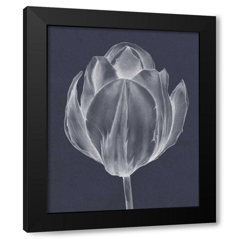 Monochrome Tulip I Black Modern Wood Framed Art Print with Double Matting by Goldberger, Jennifer