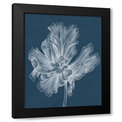 Monochrome Tulip II Black Modern Wood Framed Art Print with Double Matting by Goldberger, Jennifer