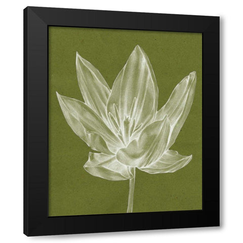 Monochrome Tulip VI Black Modern Wood Framed Art Print by Goldberger, Jennifer