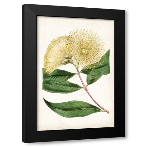 Floral Lace I Black Modern Wood Framed Art Print by Curtis