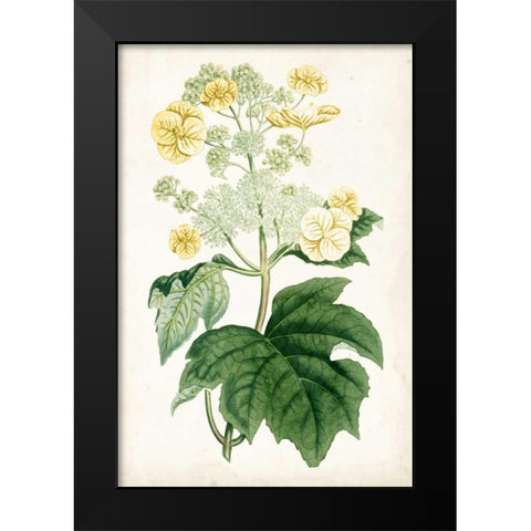 Floral Lace II Black Modern Wood Framed Art Print by Curtis