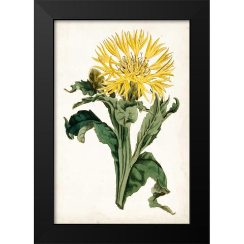 Floral Lace III Black Modern Wood Framed Art Print by Curtis