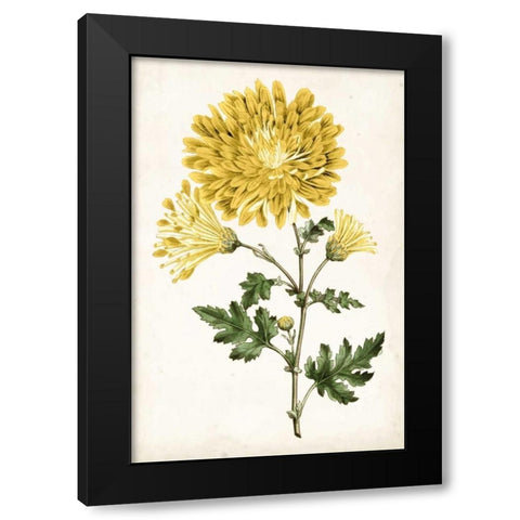 Floral Lace IV Black Modern Wood Framed Art Print by Curtis