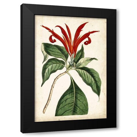 Tangerine Floral IV Black Modern Wood Framed Art Print by Curtis