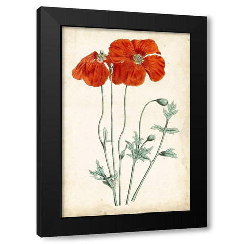 Tangerine Floral V Black Modern Wood Framed Art Print with Double Matting by Curtis