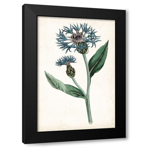 Curtis Blues II Black Modern Wood Framed Art Print with Double Matting by Curtis