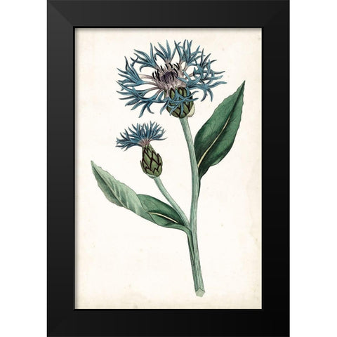 Curtis Blues II Black Modern Wood Framed Art Print by Curtis