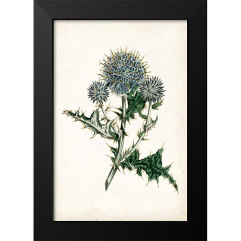 Curtis Blues III Black Modern Wood Framed Art Print by Curtis