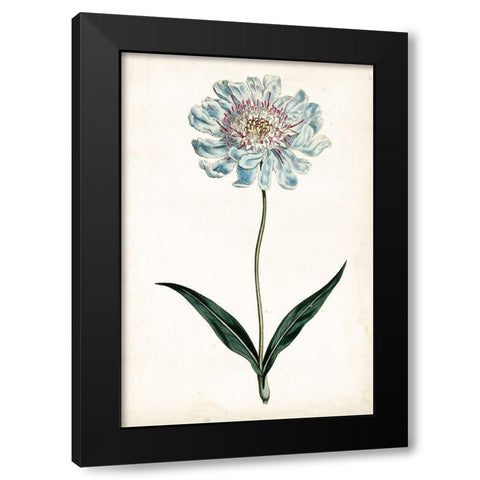 Curtis Blues IV Black Modern Wood Framed Art Print by Curtis