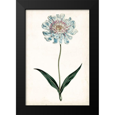 Curtis Blues IV Black Modern Wood Framed Art Print by Curtis